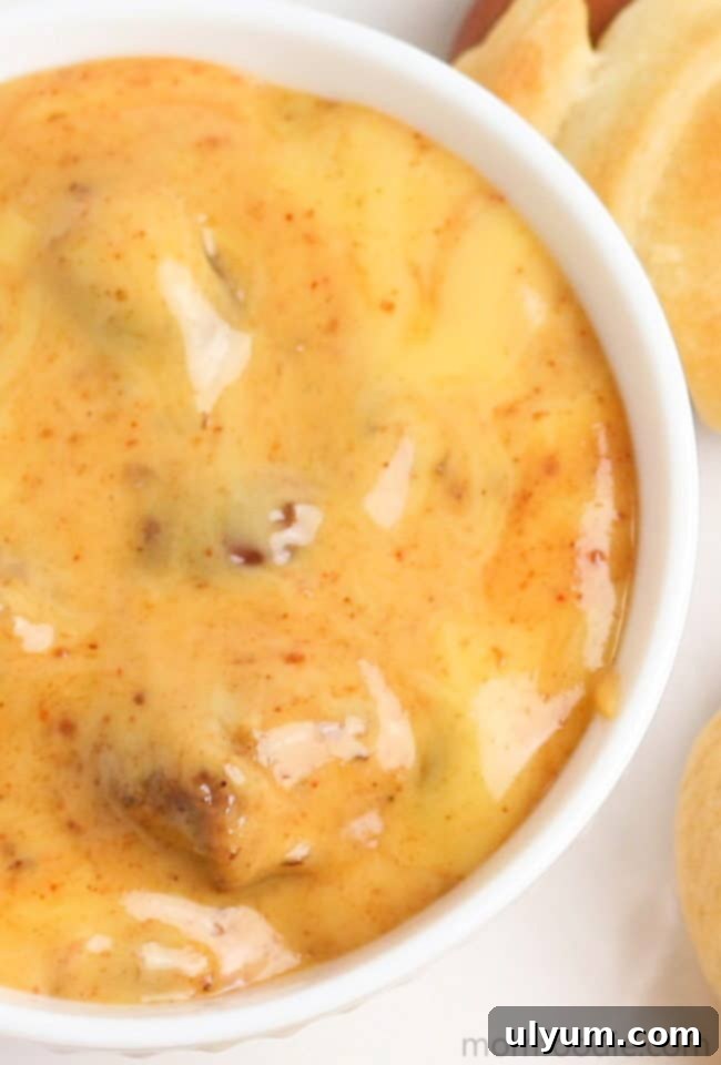 Score Big: 48 Instant Pot & Slow Cooker Game Day Eats 7 2-Ingredient Slow Cooker Chili Cheese Dip, easy and delicious.