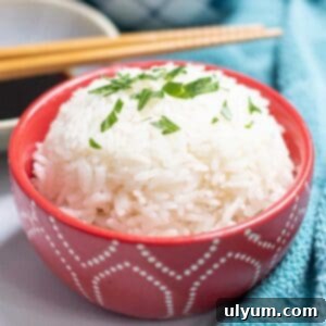 Close-up of fluffy Instant Pot Jasmine Rice, garnished with fresh parsley.