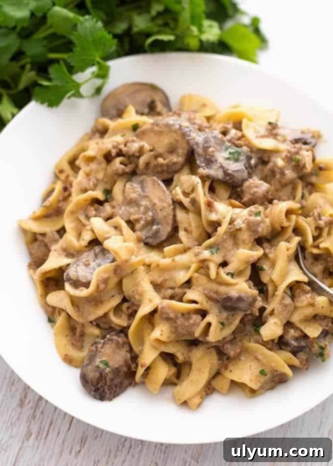 Instant Pot Hamburger Stroganoff with creamy sour cream sauce.