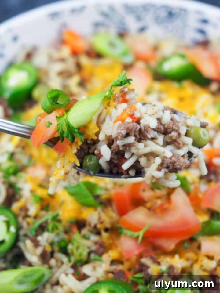 Instant Pot Easy Beef Rice-A-Roni with fewer than five ingredients.