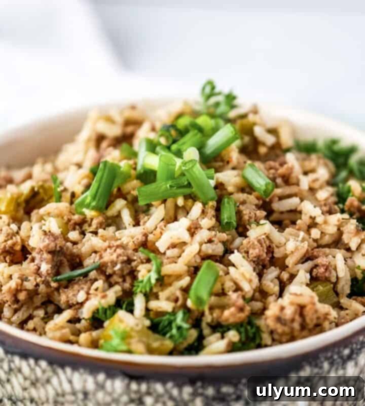 Instant Pot Dirty Rice in Cajun style, with beef and rice.