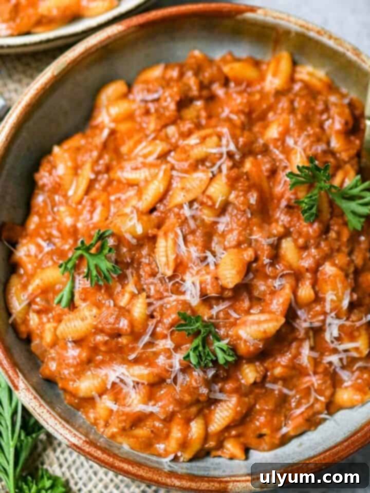 Creamy Vegan Beef And Shells, a plant-based meal ready in 20 minutes.