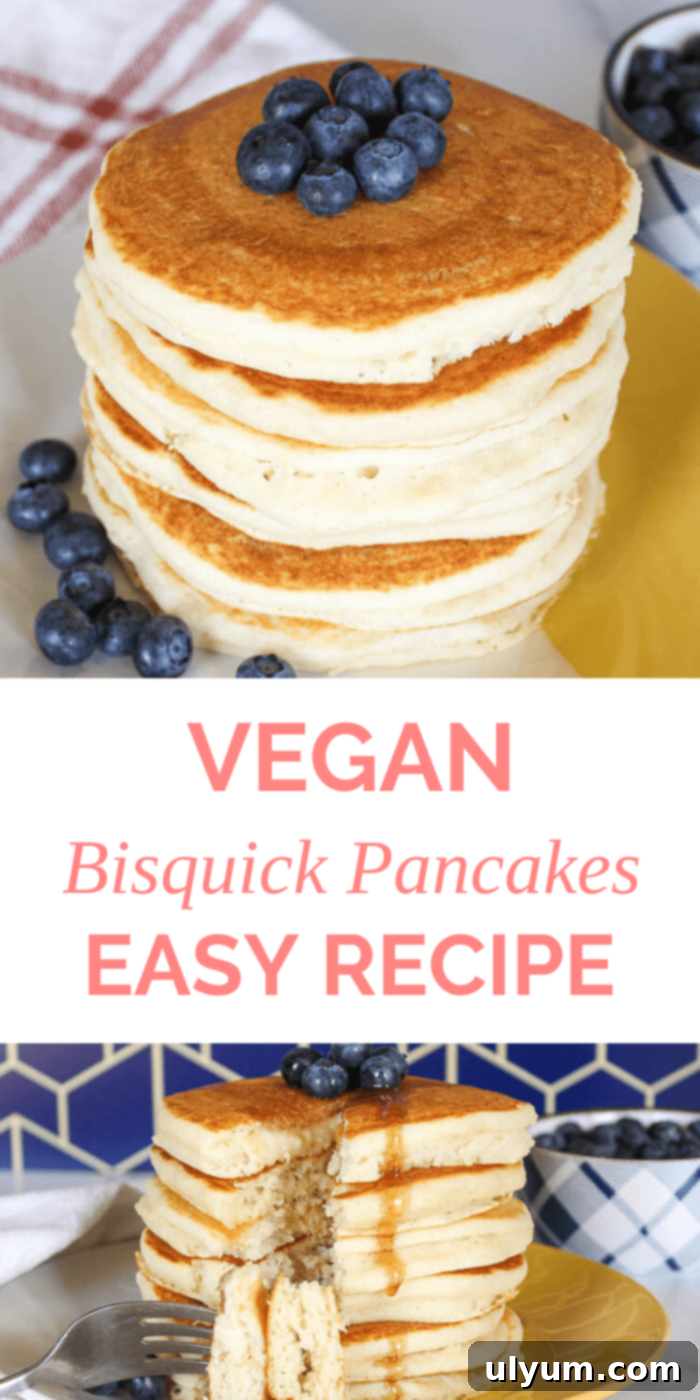 Easy Bisquick Vegan Pancakes