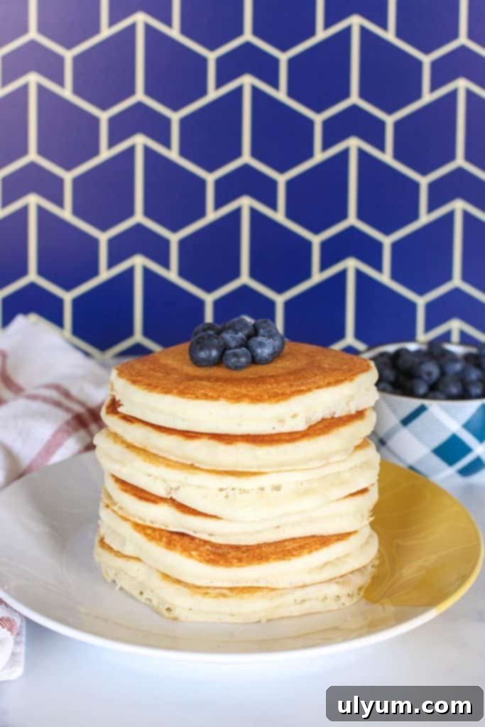 Stack of vegan Bisquick pancakes topped with blueberries.