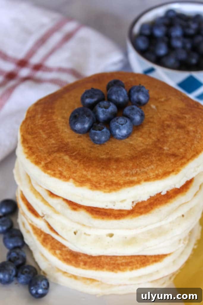 Stack of Vegan Bisquick Pancakes topped with blueberries.