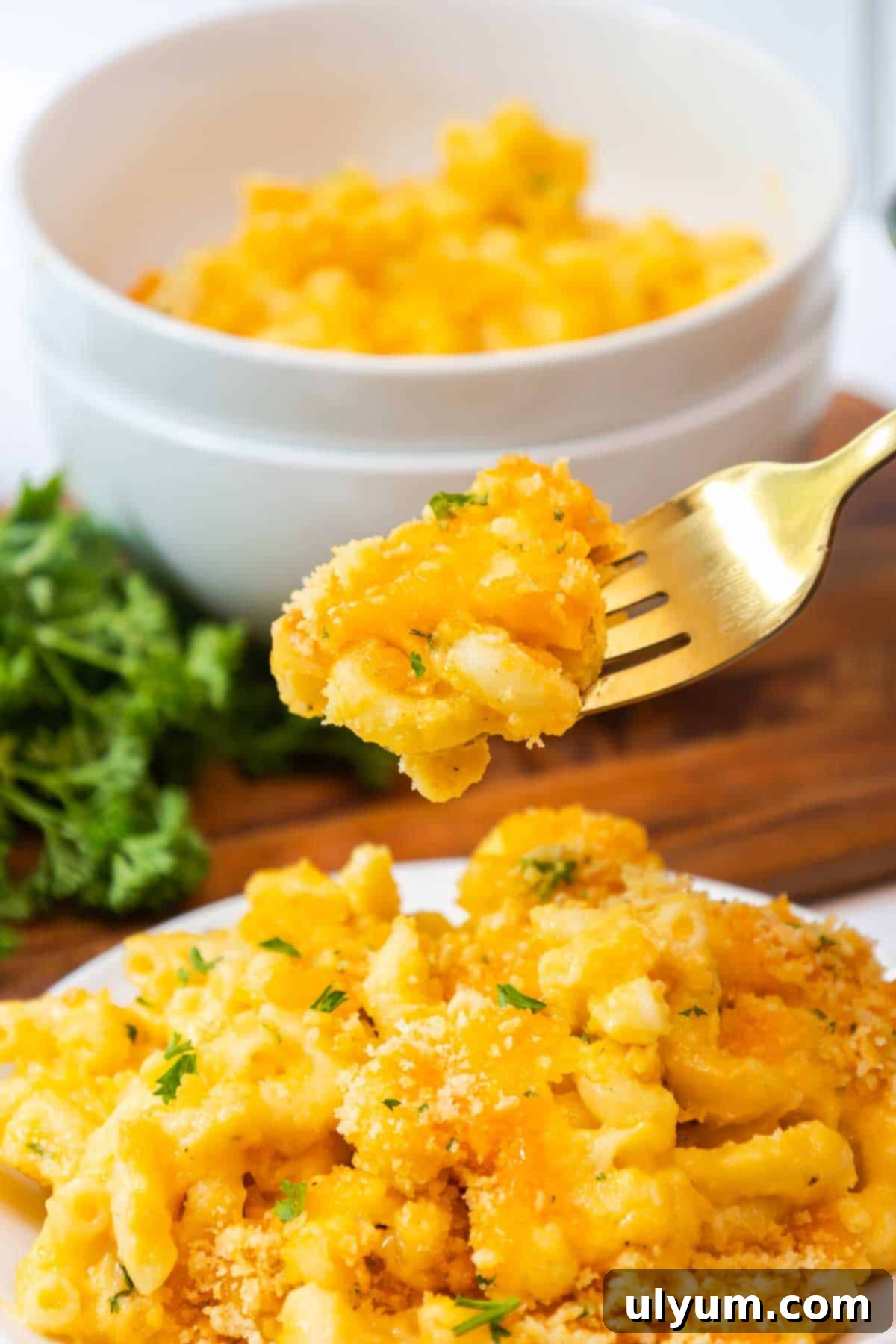 A fork lifting a cheesy bite of old fashioned baked mac and cheese.