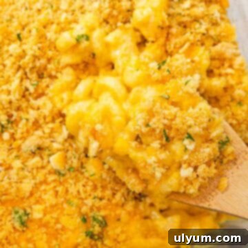 A wooden spoon scooping old fashioned baked mac and cheese topped with Ritz crackers from a baking dish.