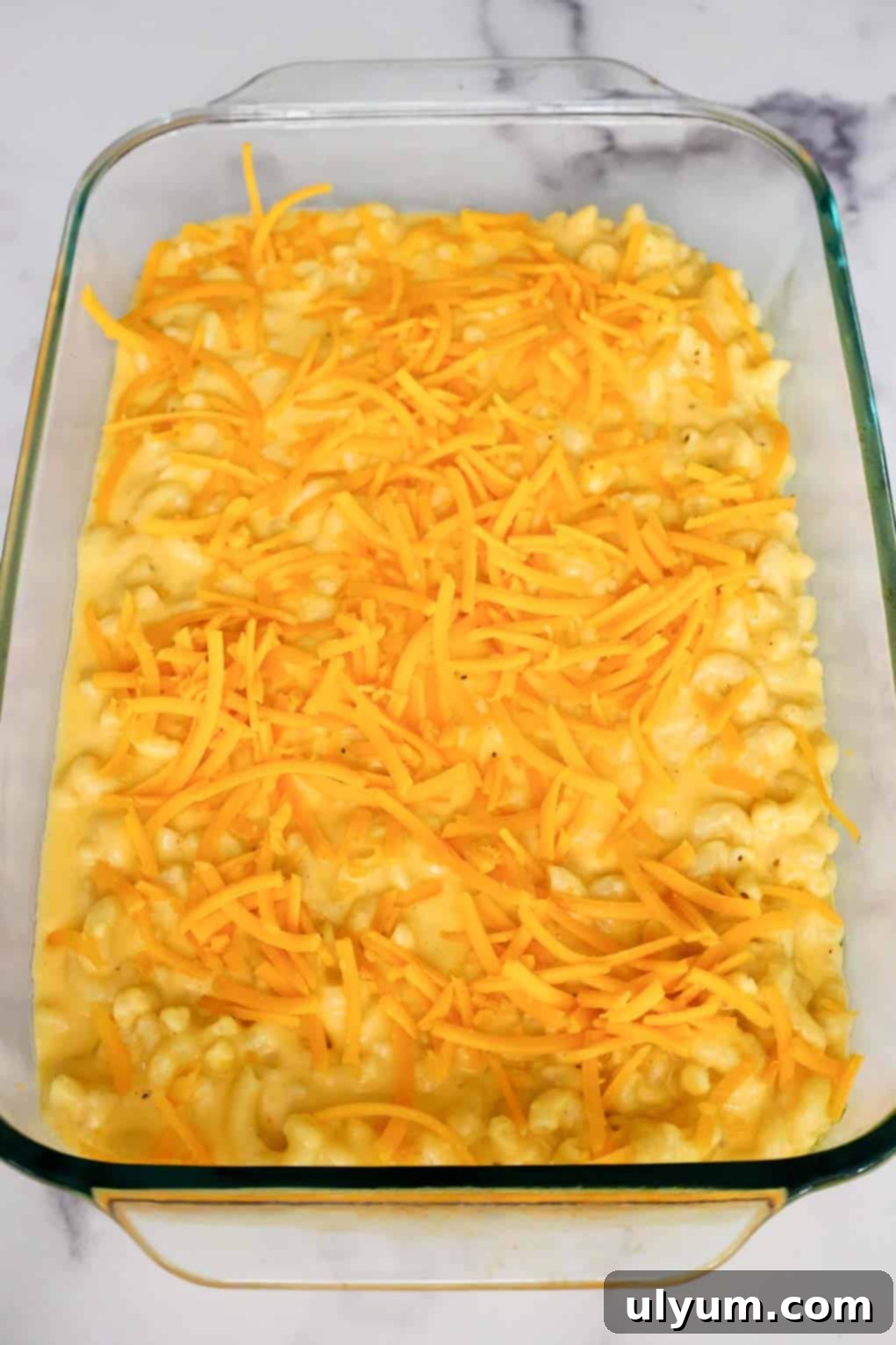 Unbaked old fashioned mac and cheese in a glass baking dish topped with shredded cheddar cheese, ready for the Ritz cracker topping.