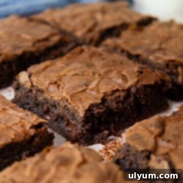 Fudgy brownie squares with melted chocolate chips visible from the sides.