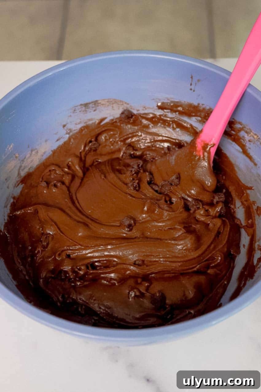 Chocolate chip brownie batter mixed and ready in a medium mixing bowl.