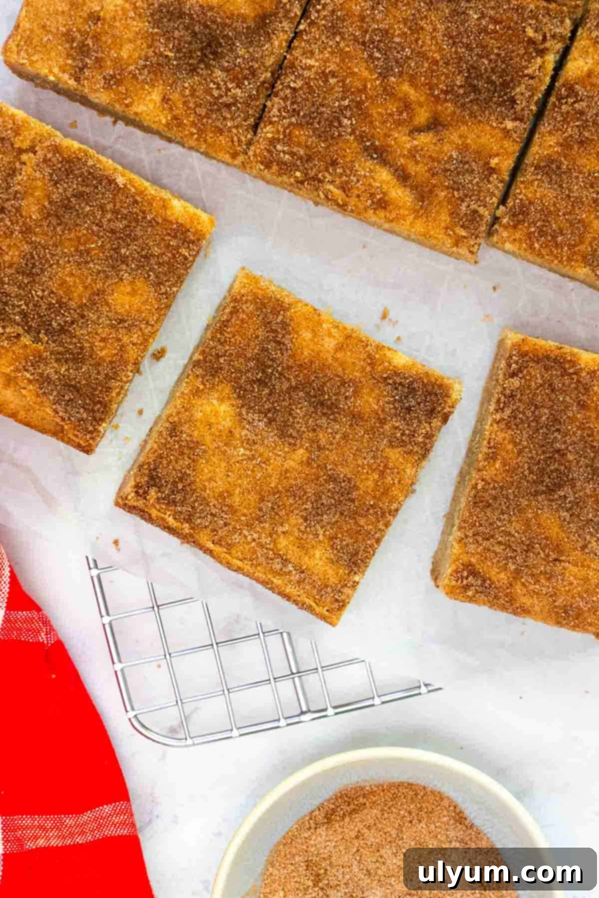 Overhead view of freshly cut snickerdoodle cookie bars arranged on parchment paper.
