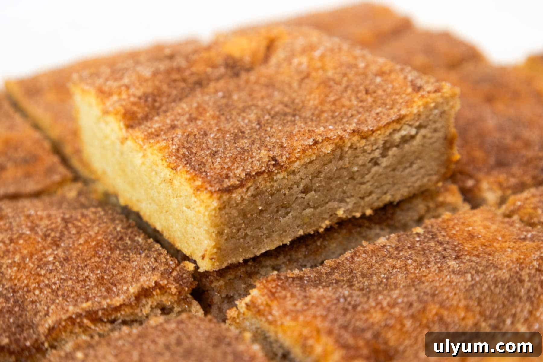 A snickerdoodle cookie bar stacked on top of a layer of cookie bars, showing its soft, dense texture and cinnamon-sugar topping.