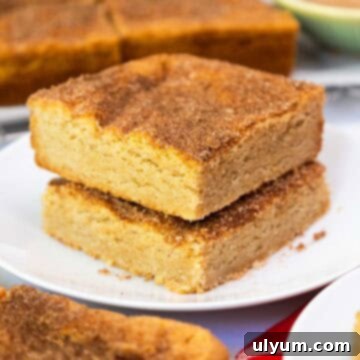 Two thick, golden-brown snickerdoodle cookie bars stacked on a plate, topped with a crackly cinnamon-sugar crust.