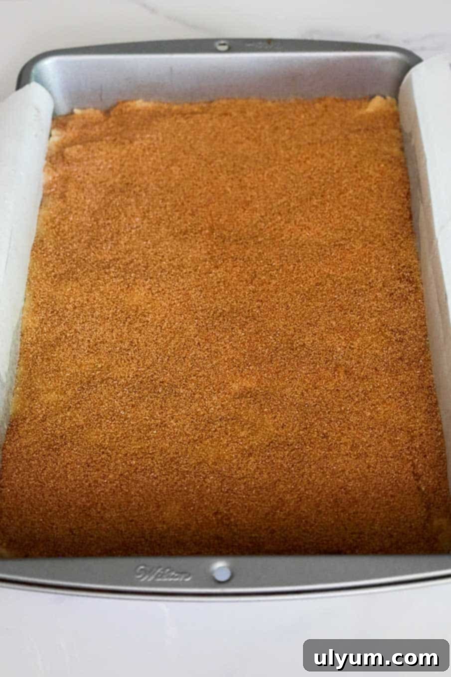 Raw dough in a baking pan covered in a thick, even layer of cinnamon sugar before baking.