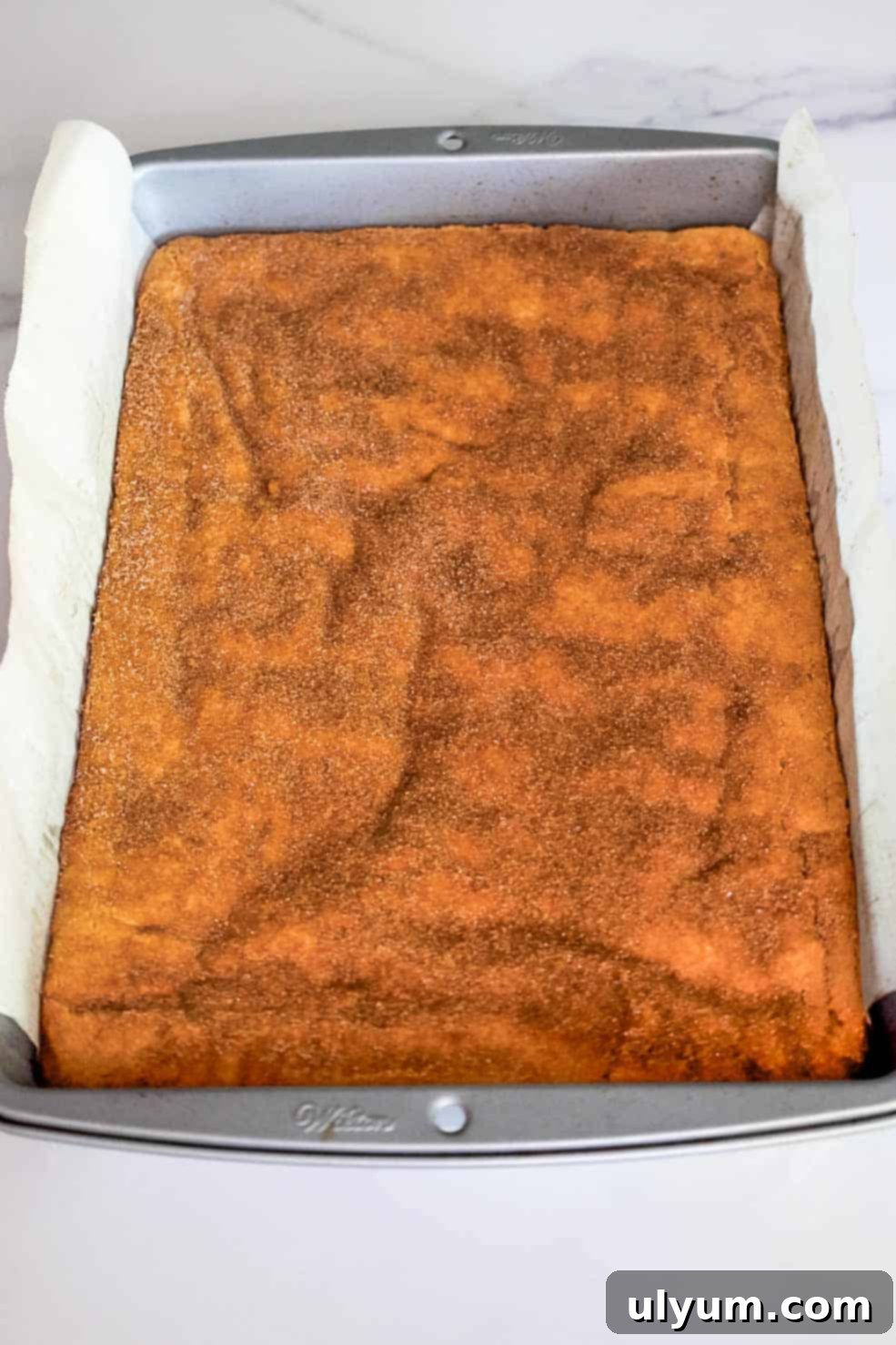 Fully baked snickerdoodle cookie bar slab still in the pan, golden and topped with a crackly cinnamon-sugar crust.