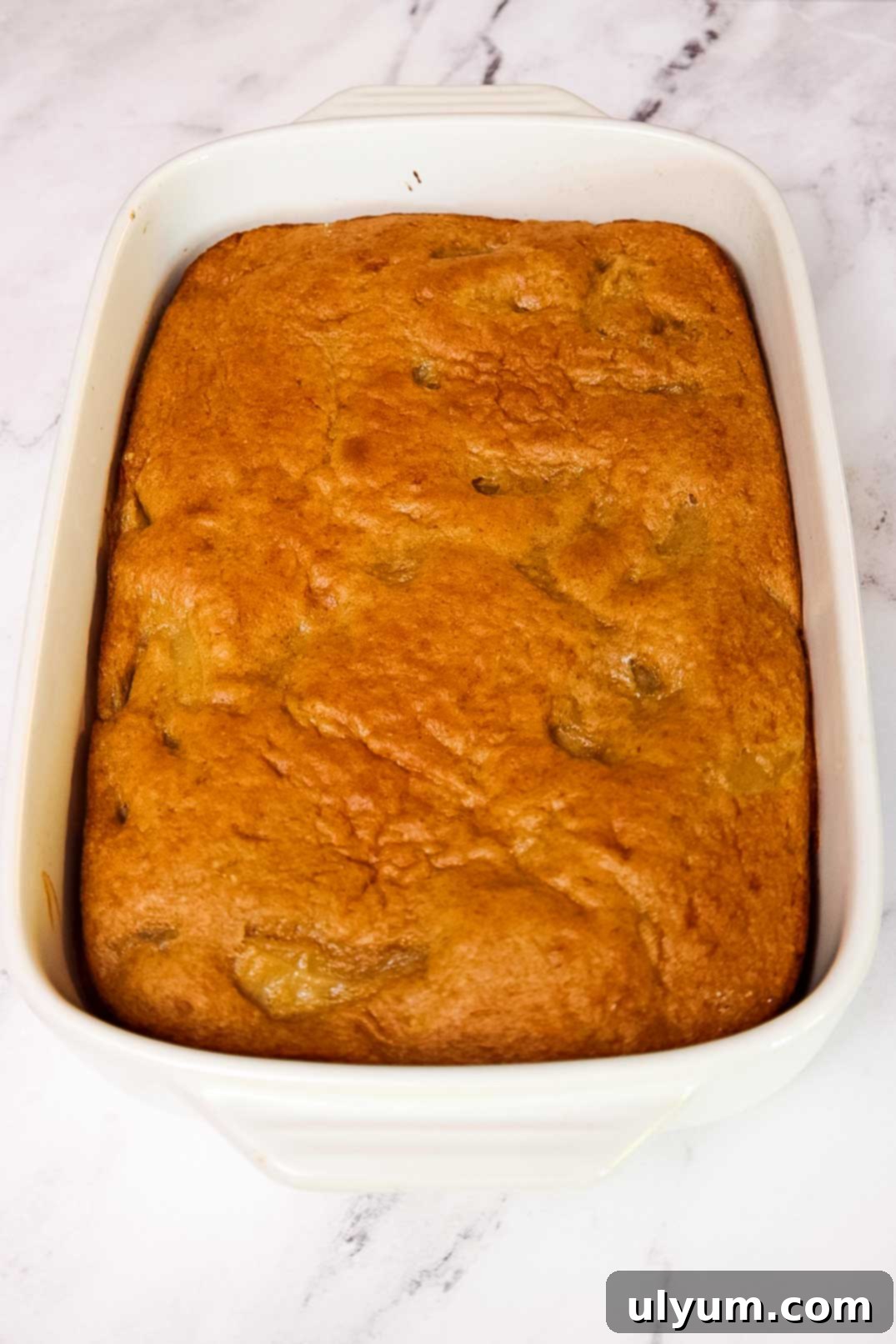 Freshly baked apple cake made with cake mix shown just out of the oven with a golden-brown top and visible apple chunks.