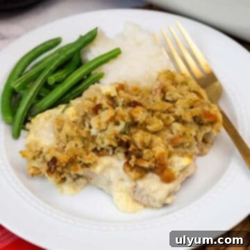Baked pork chops with stuffing