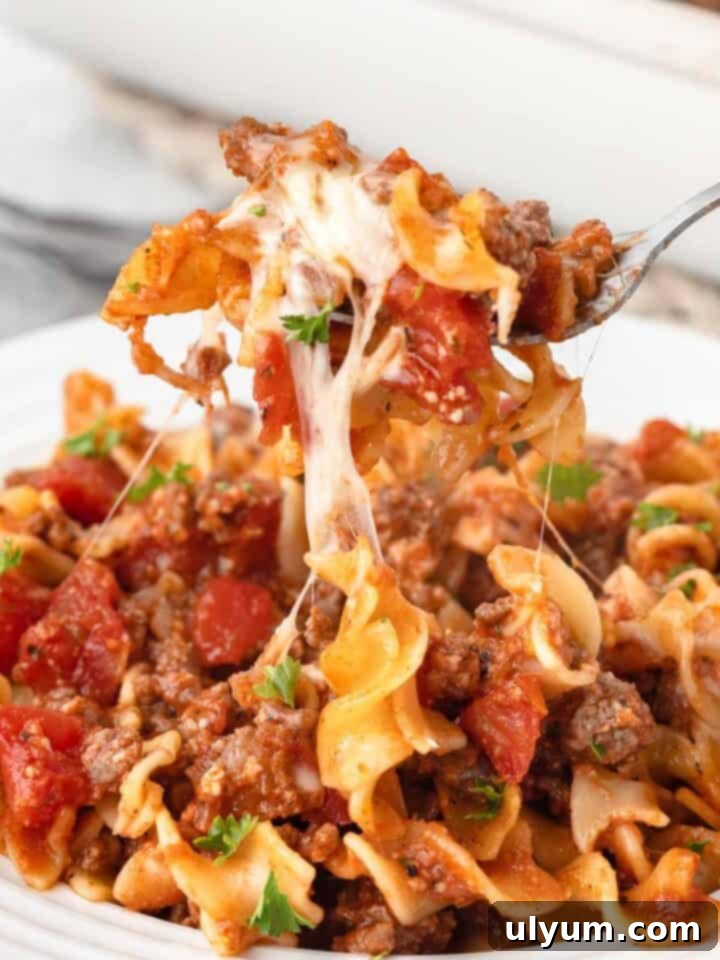 Ground Beef Egg Noodle Casserole