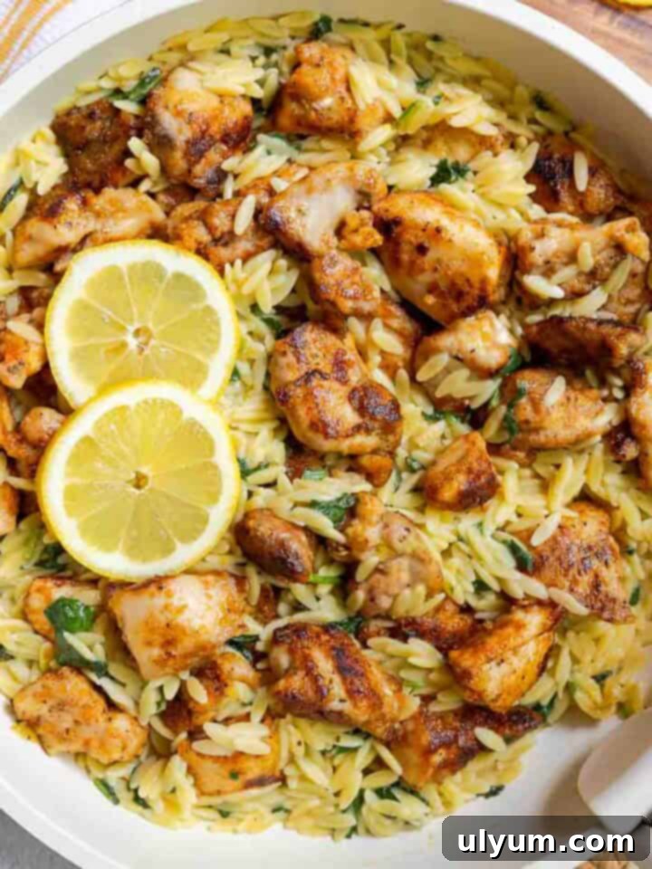 One Pan Lemon Chicken Orzo