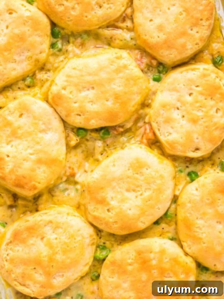 Easy Chicken Pot Pie Casserole