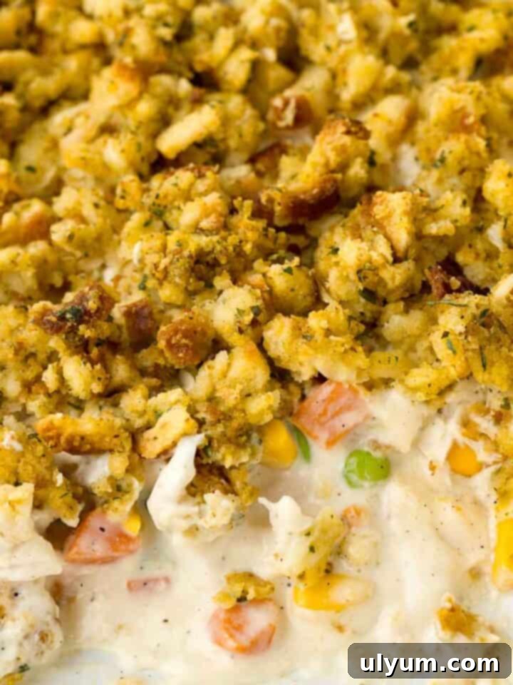 Easy Chicken Stuffing Casserole
