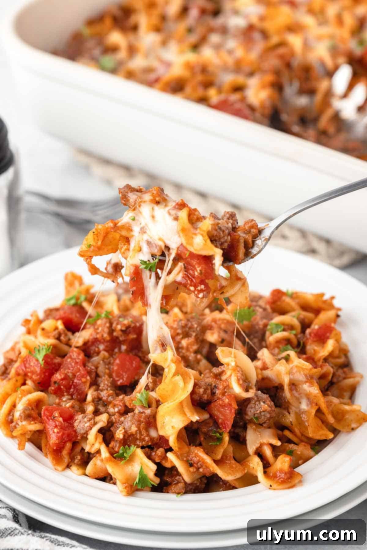 Ground beef noodle casserole