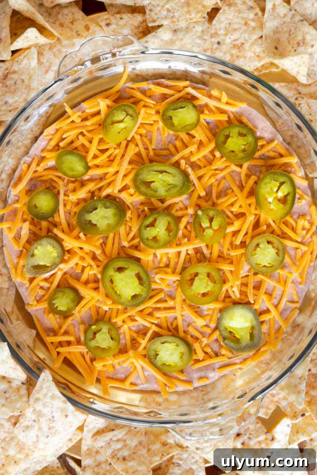 Overhead shot of cream cheese salsa dip with cheese and jalapeño topping, and tortilla chips around the dish.