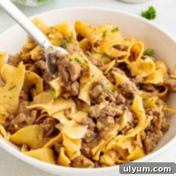 Ground beef egg noodles topped with parsley served in a bowl with a fork lifting cooked noodles and saucy beef.