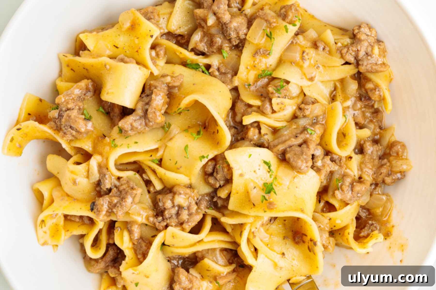 Plated ground beef egg noodles shown from above with wide egg noodles mixed with browned beef and onions. The dish looks glossy and evenly coated with sauce.